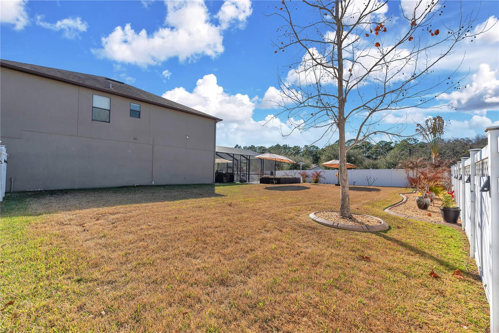 20006 SATIN LEAF AVE, TAMPA, FL, 33647