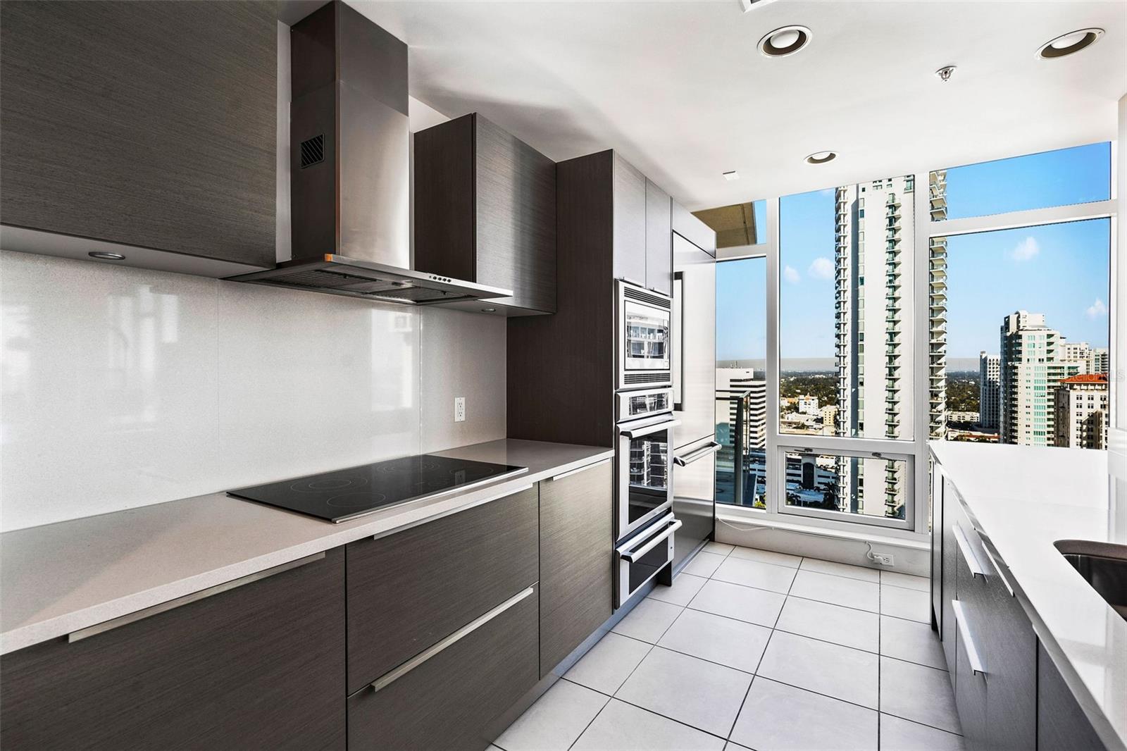 175 1ST ST S #2608, ST PETERSBURG, FL, 33701