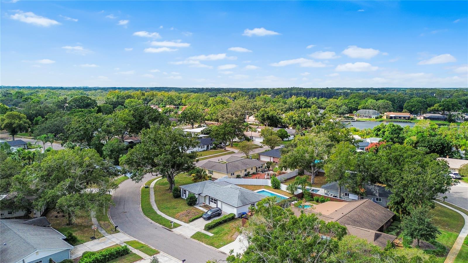 3015 SAINT CHARLES DR DR, TAMPA, FL, 33618