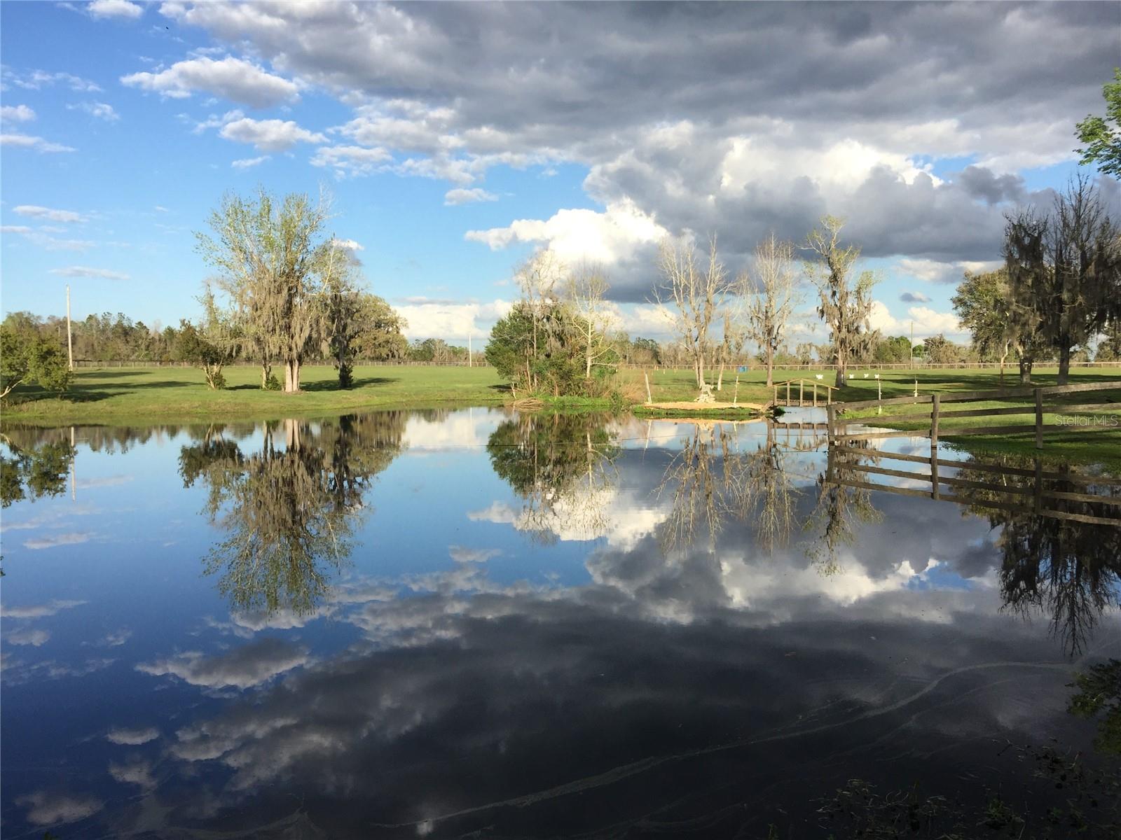 OM716965 Property Photo