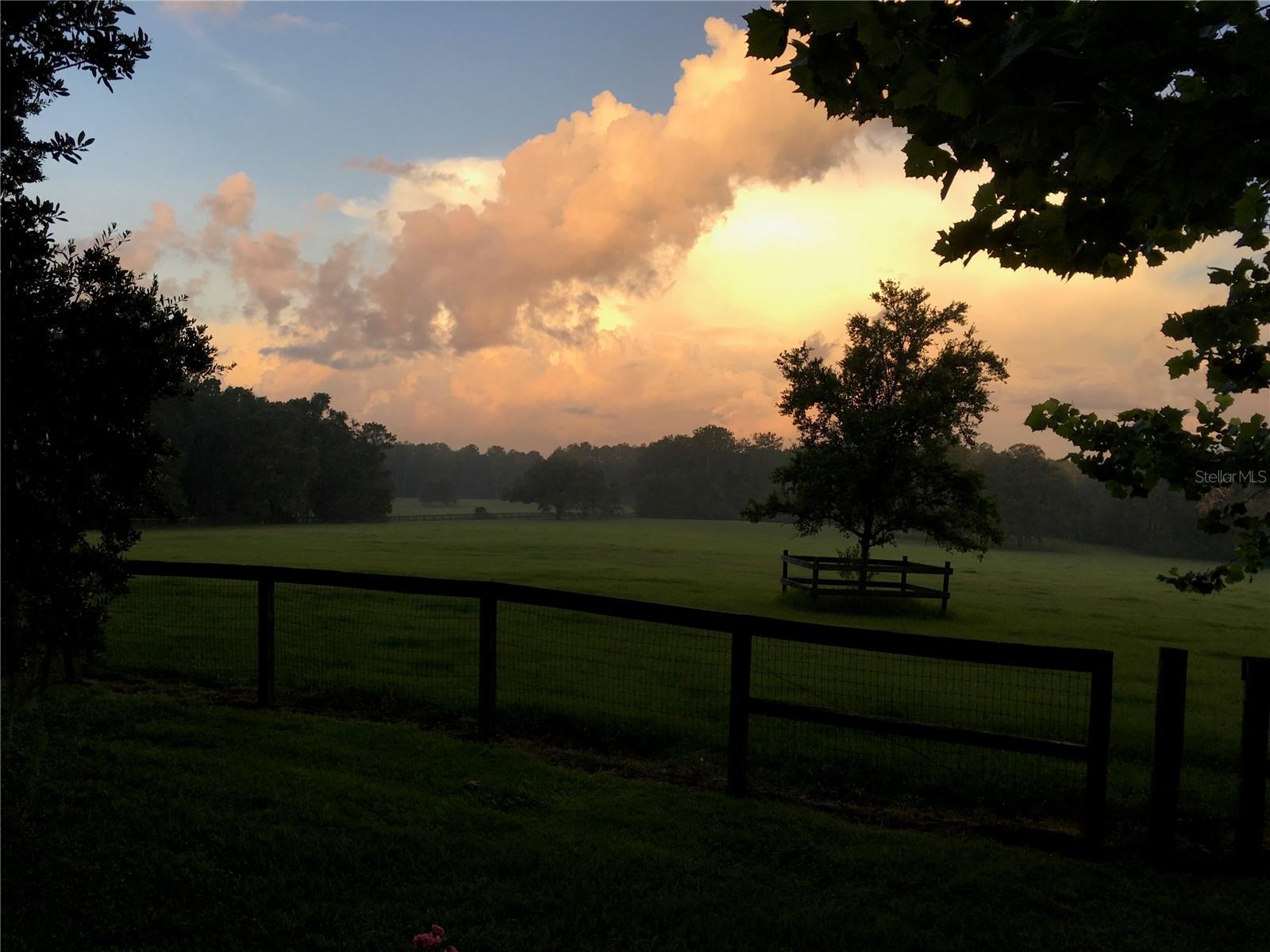 OM716965 Property Photo