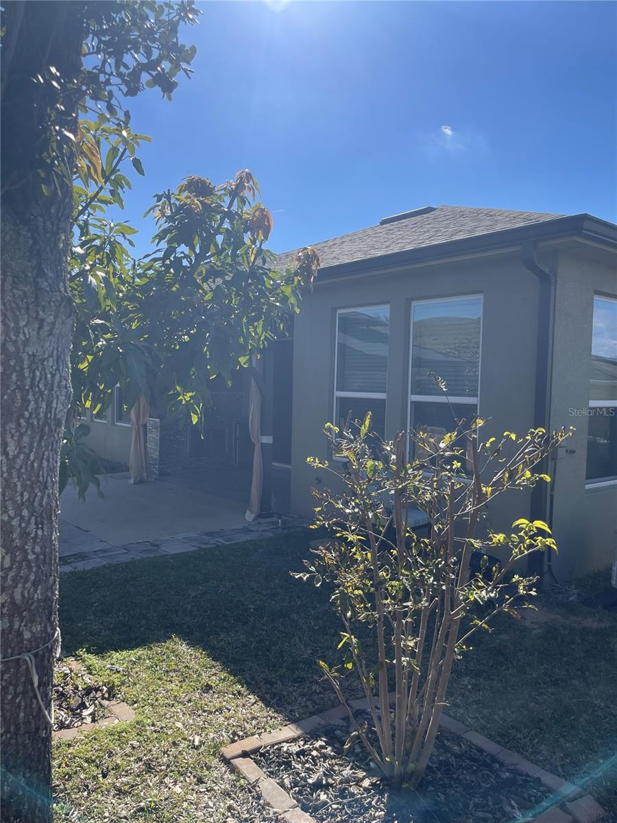 2062 REDBAY AVE, MINNEOLA, FL, 34715