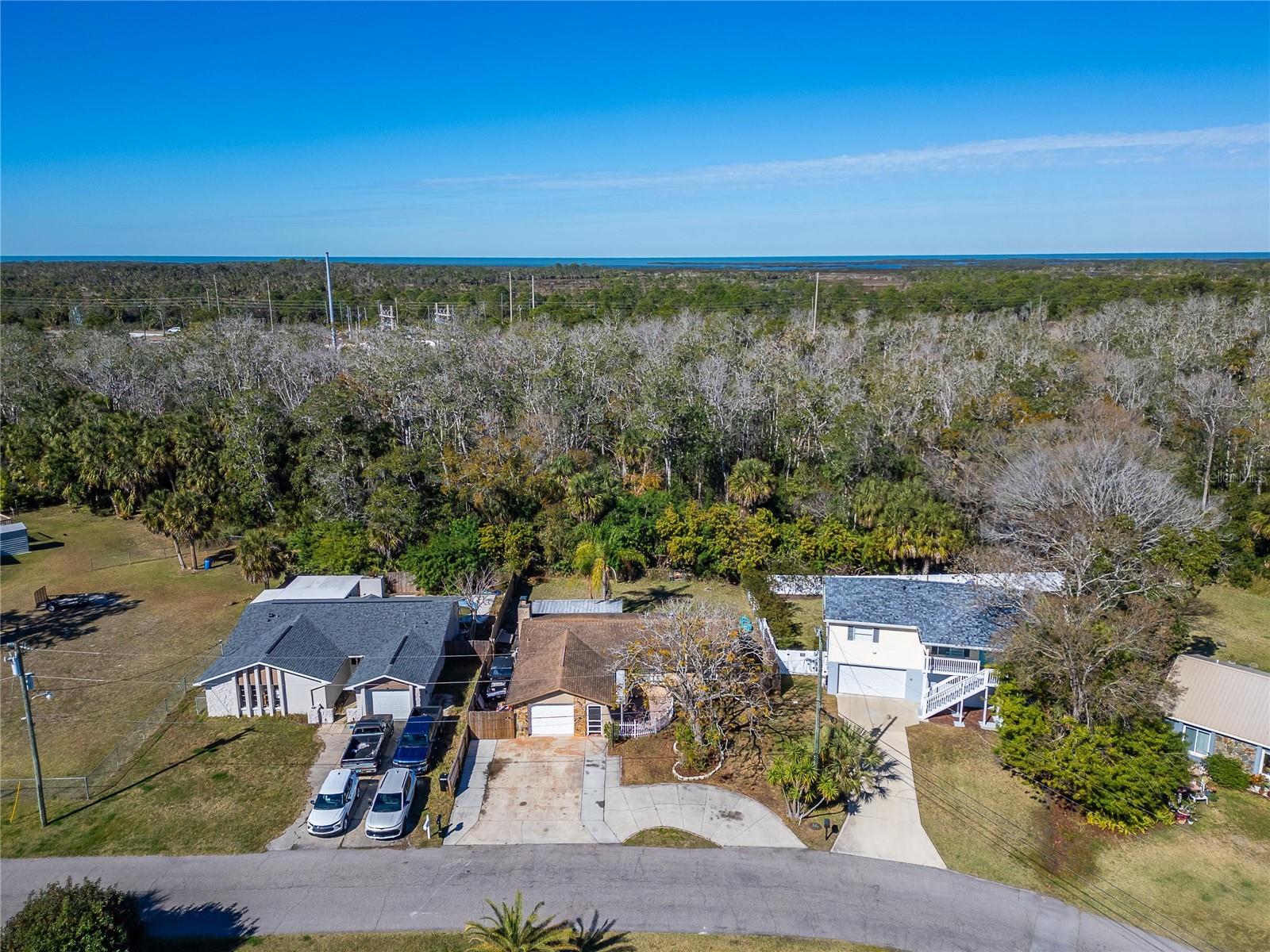 8517 HORIZON LN, HUDSON, FL, 34667