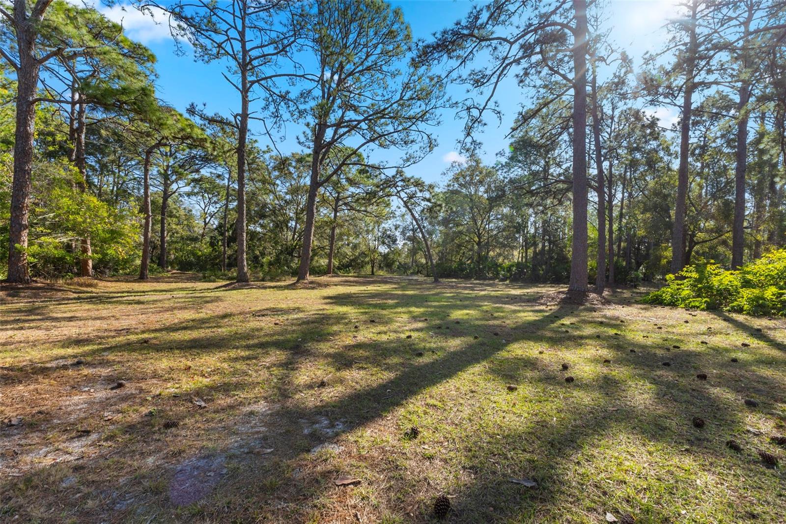 6950 EL DORADO DR, SARASOTA, FL, 34240