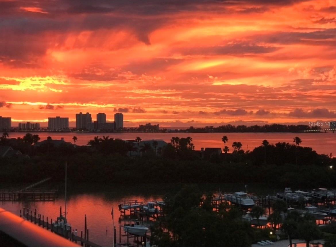 8 BELLEVIEW BLVD #702, BELLEAIR, FL, 33756