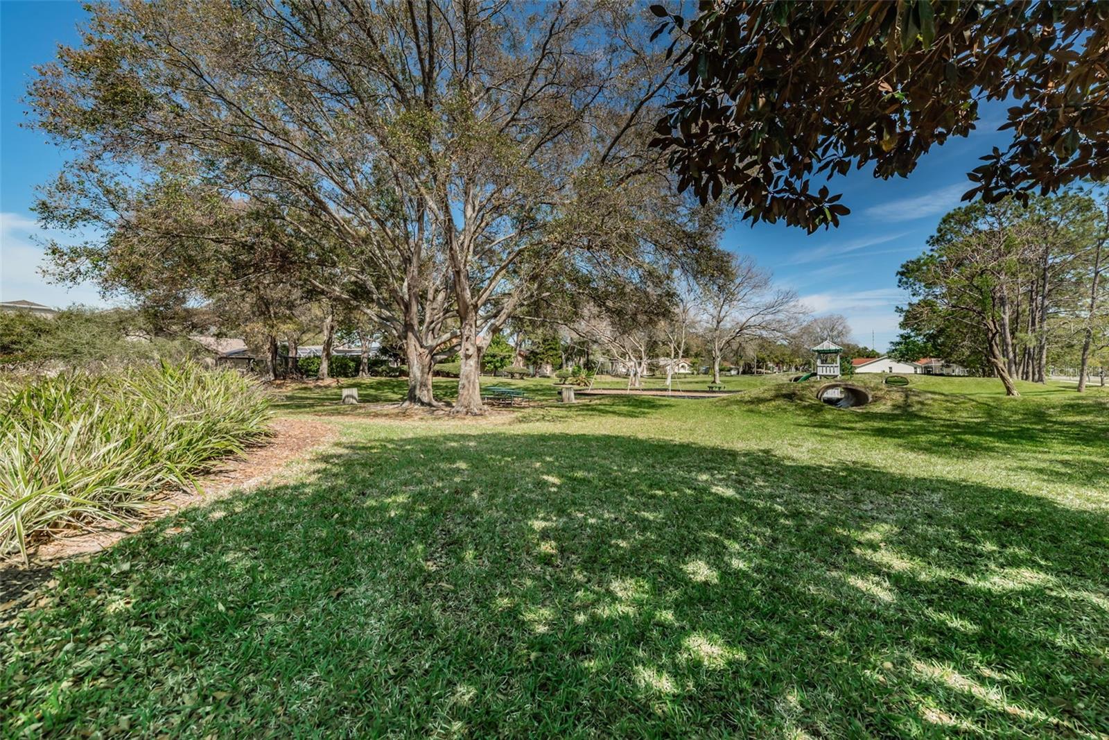 2700 JARVIS CIR, PALM HARBOR, FL, 34683