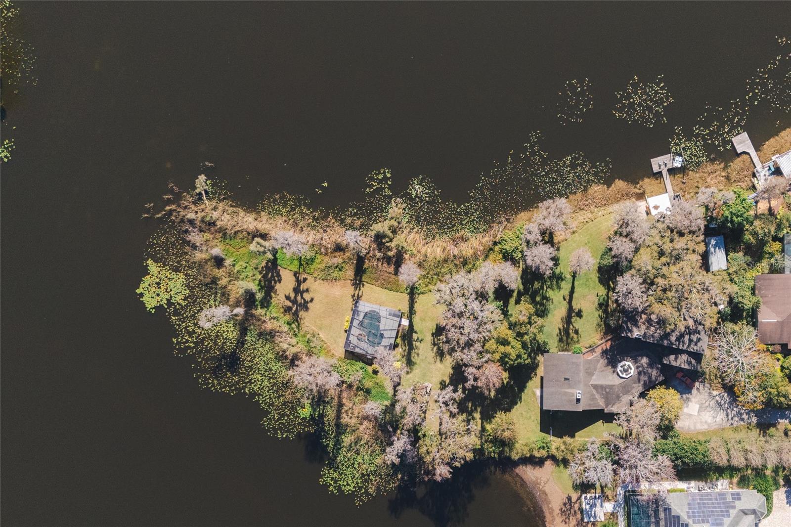 602 DRUID WAY, LUTZ, FL, 33548