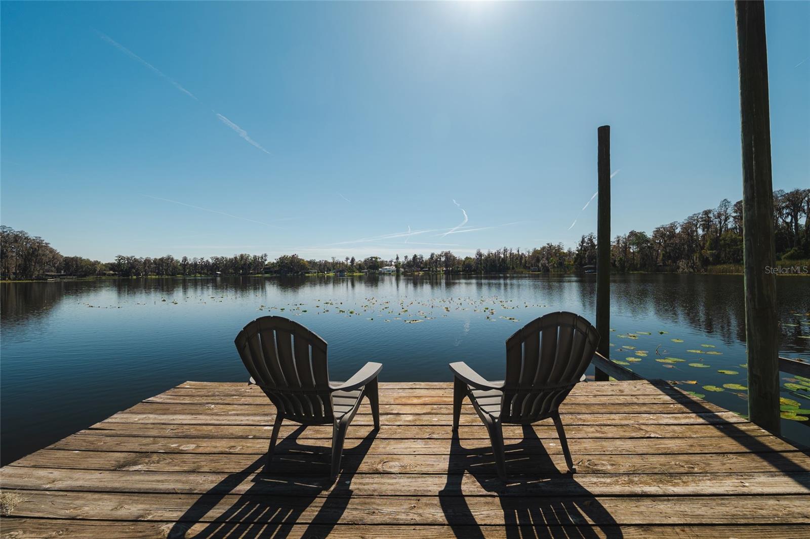 602 DRUID WAY, LUTZ, FL, 33548