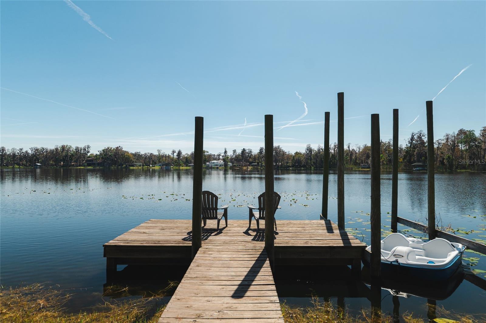 602 DRUID WAY, LUTZ, FL, 33548