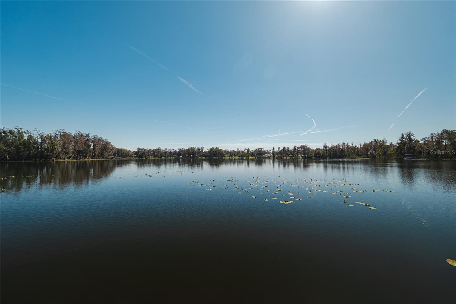 602 DRUID WAY, LUTZ, FL, 33548