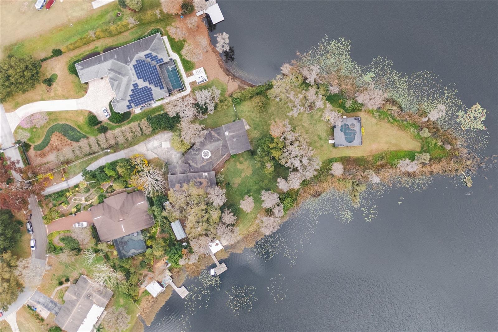 602 DRUID WAY, LUTZ, FL, 33548