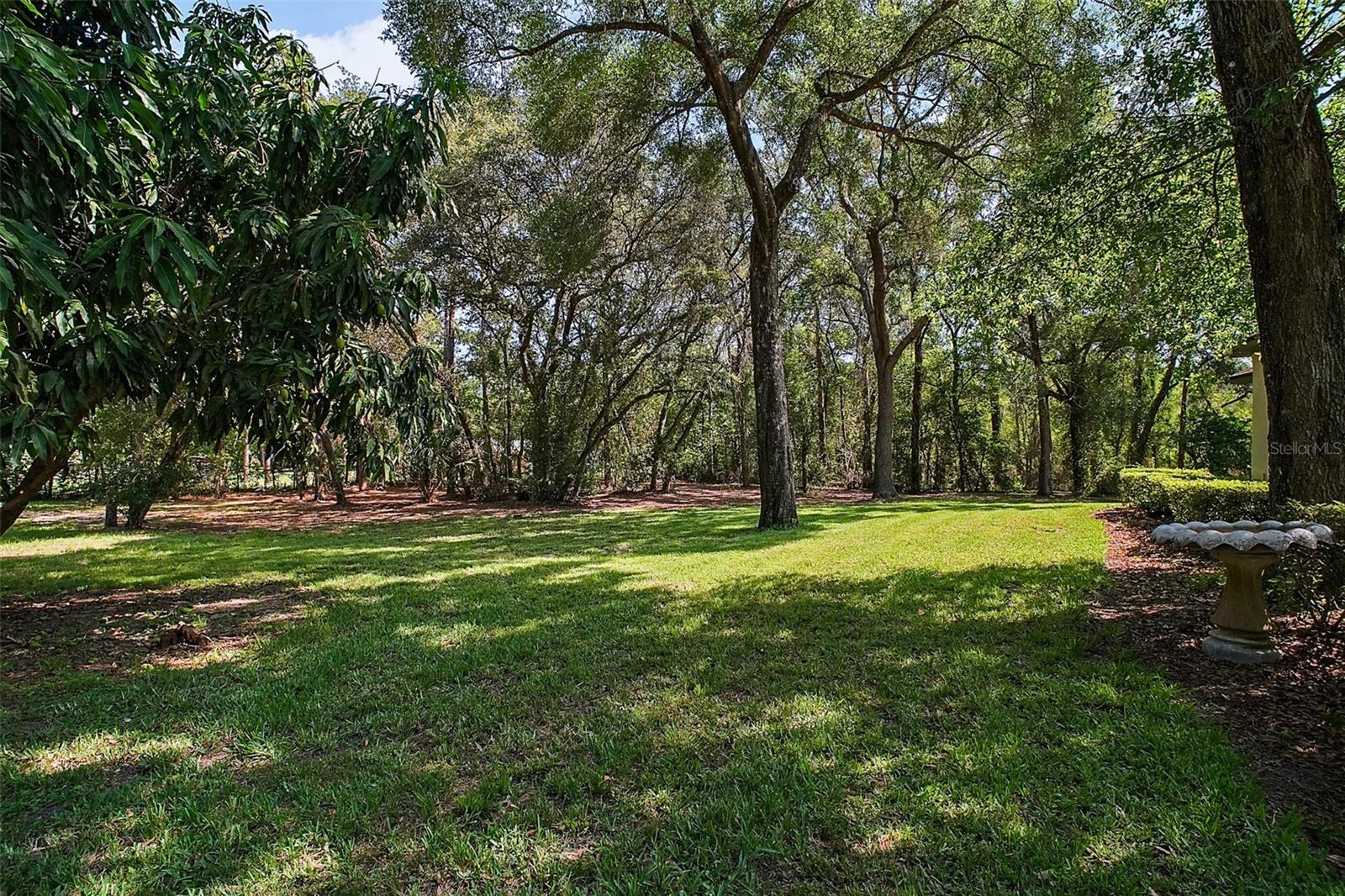 35350 COUNTY ROAD 439, EUSTIS, FL, 32736