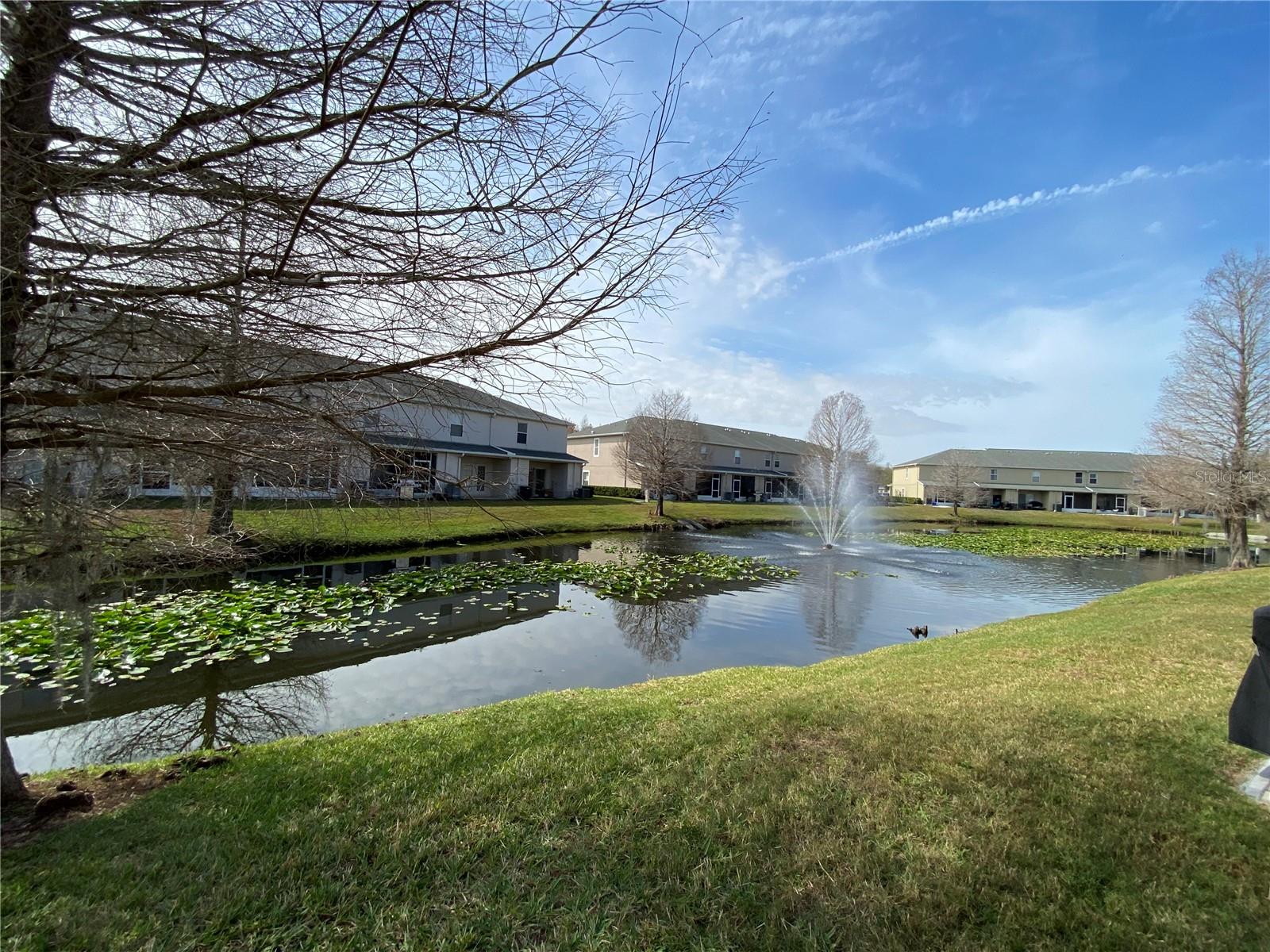 16326 SWAN VIEW CIR, ODESSA, FL, 33556