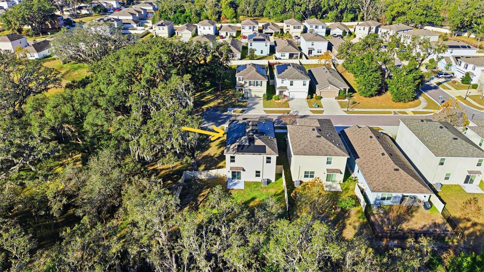 12403 PAGODA PL, TAMPA, FL, 33637