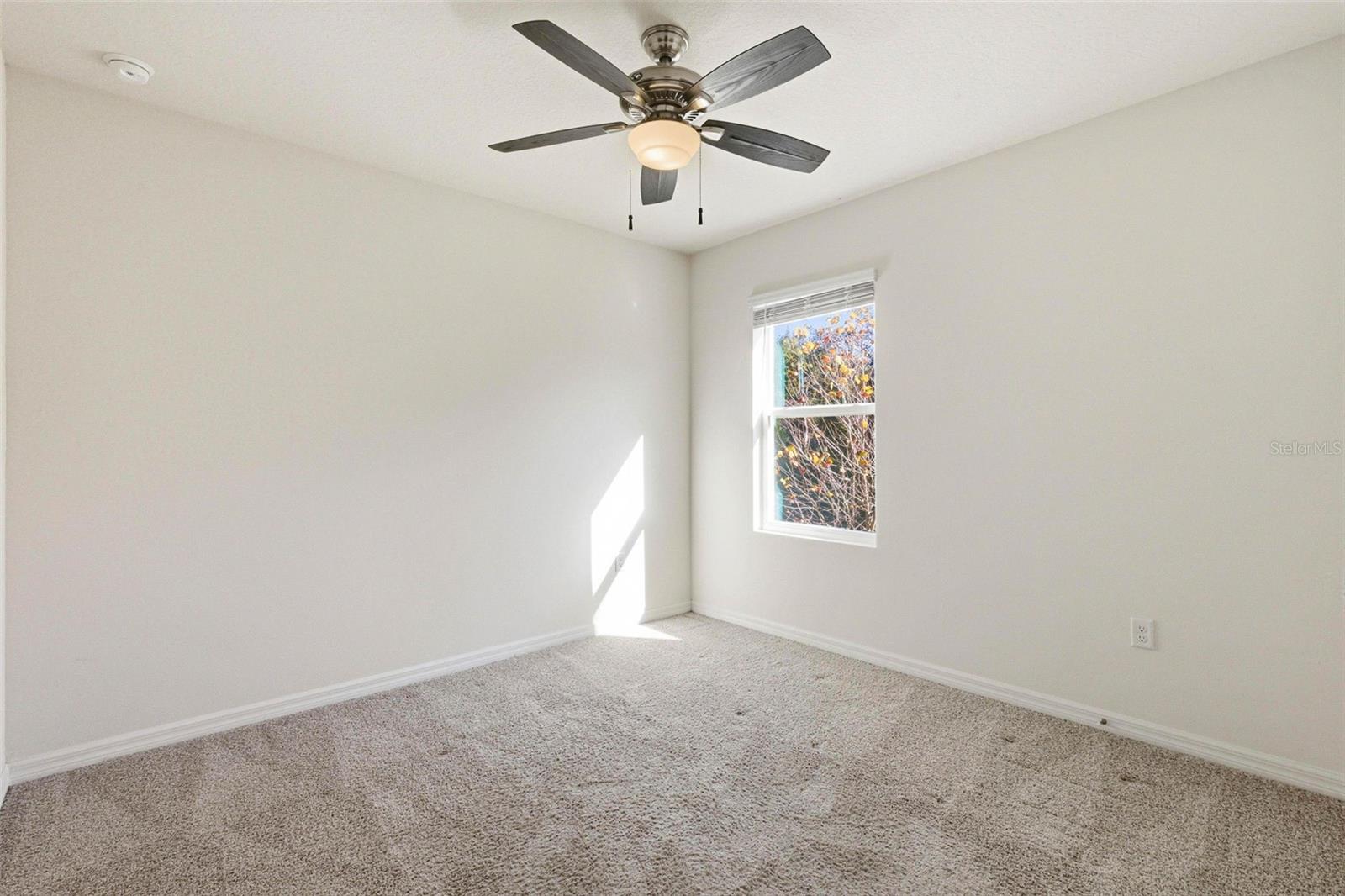 12403 PAGODA PL, TAMPA, FL, 33637