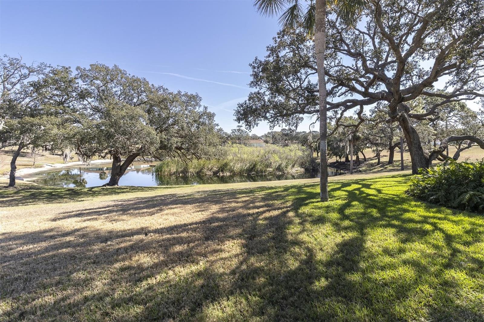 11410 CARRIAGE HILL  #1 DR #1, PORT RICHEY, FL, 34668