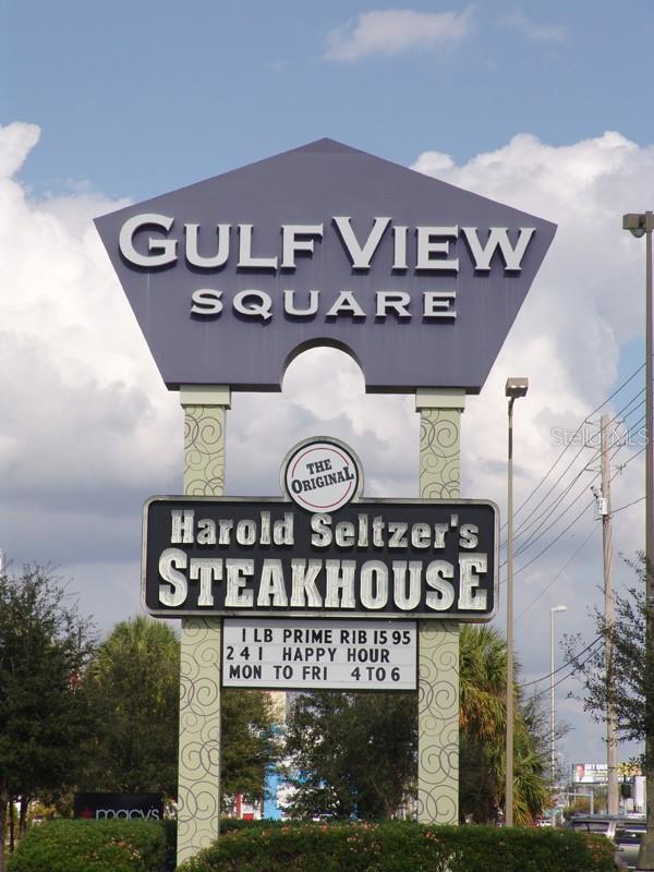 11410 CARRIAGE HILL  #1 DR #1, PORT RICHEY, FL, 34668