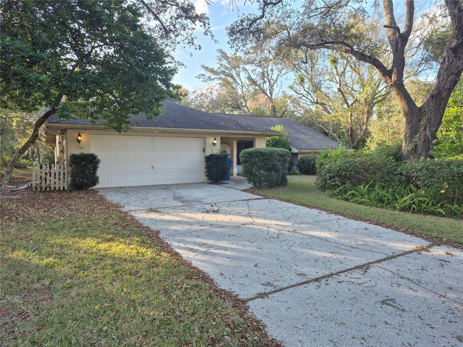 1147 BARRANCA AVE, SPRING HILL, FL, 34609