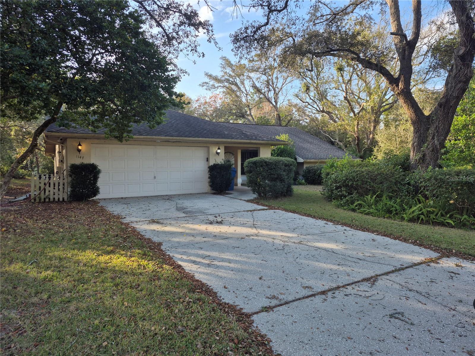 1147 BARRANCA AVE, SPRING HILL, FL, 34609