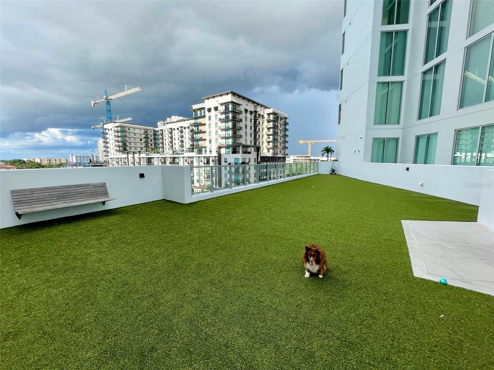 301 QUAY COMMONS #509, SARASOTA, FL, 34236