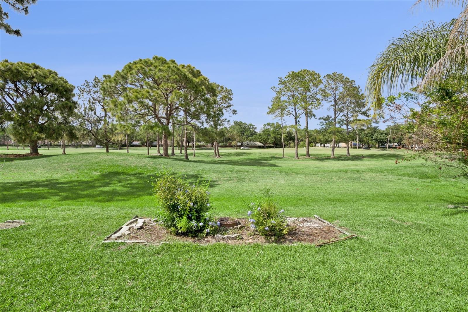 2313 RUNYON CT, ORLANDO, FL, 32837