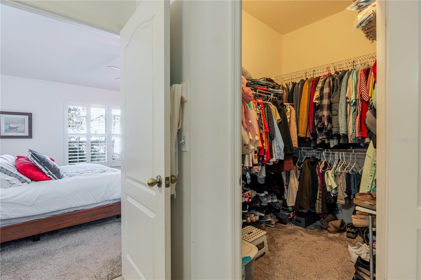 31500 SHAKER CIR, WESLEY CHAPEL, FL, 33543