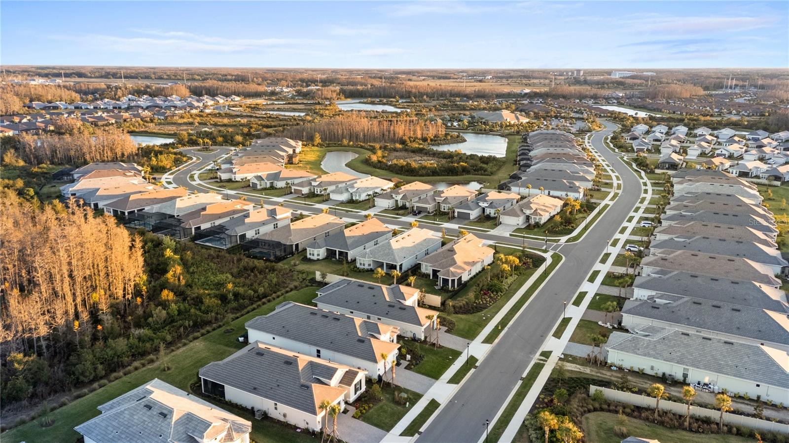 Aerial View of Neighborhood