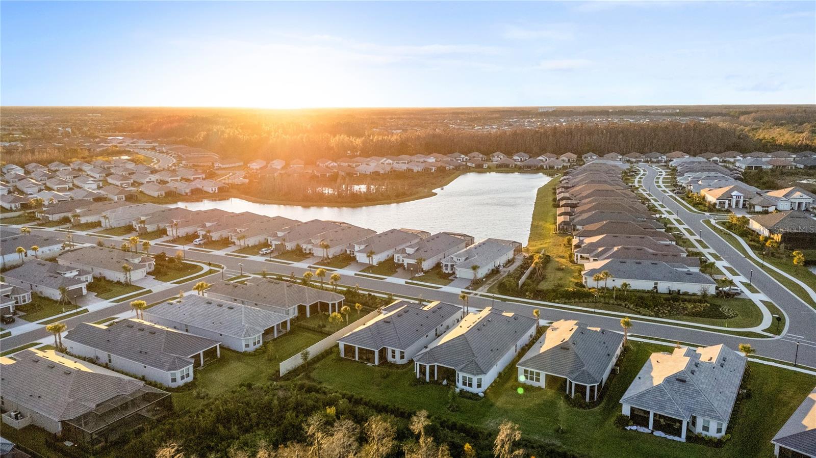 Aerial View of Neighborhood