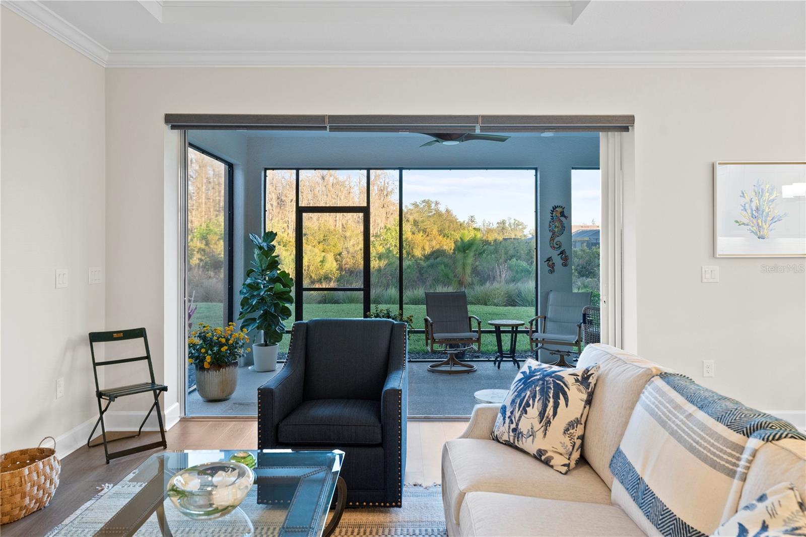 Notice the Beautiful View