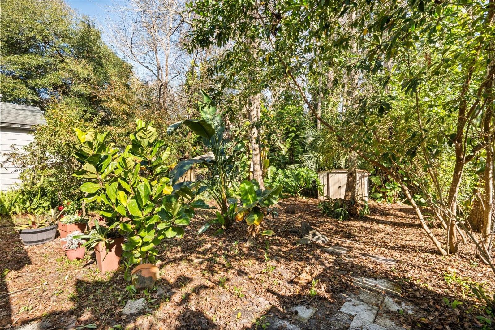 337 KIRKCALDY DR, WINTER SPRINGS, FL, 32708