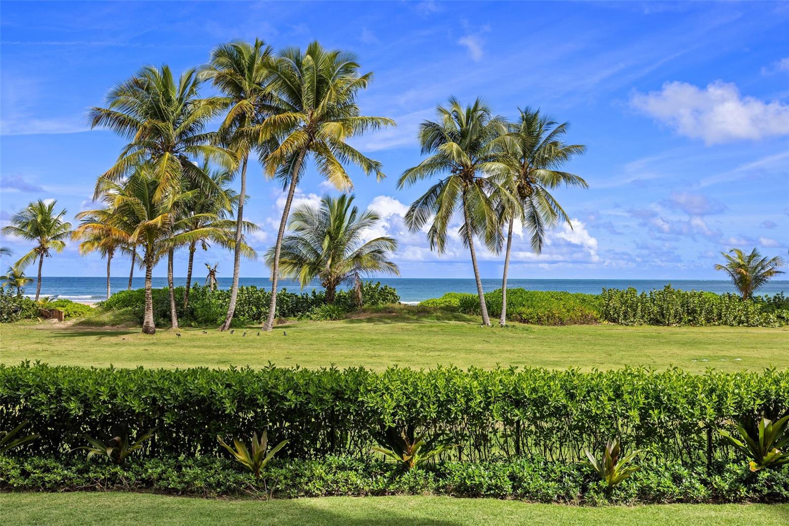 PR9118693 Property Photo