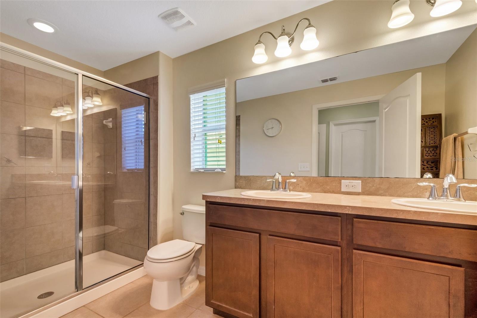 20459 BERRYWOOD LN, TAMPA, FL, 33647