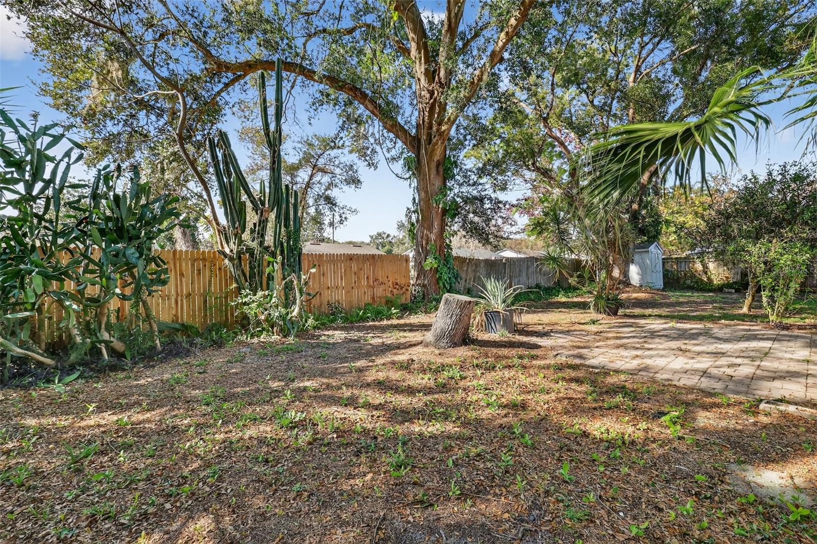 3450 LAUREL DR, MOUNT DORA, FL, 32757