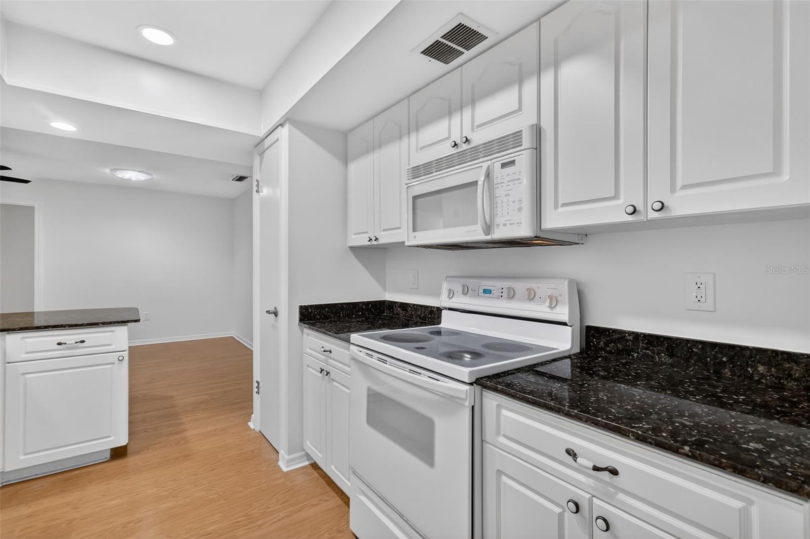 3450 LAUREL DR, MOUNT DORA, FL, 32757