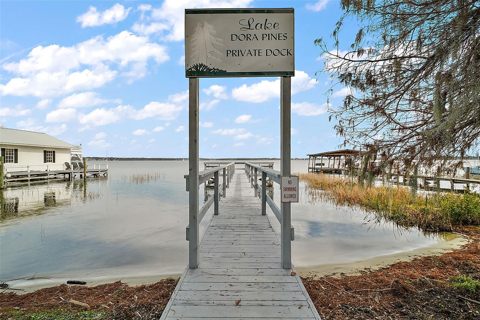 3450 LAUREL DR, MOUNT DORA, FL, 32757