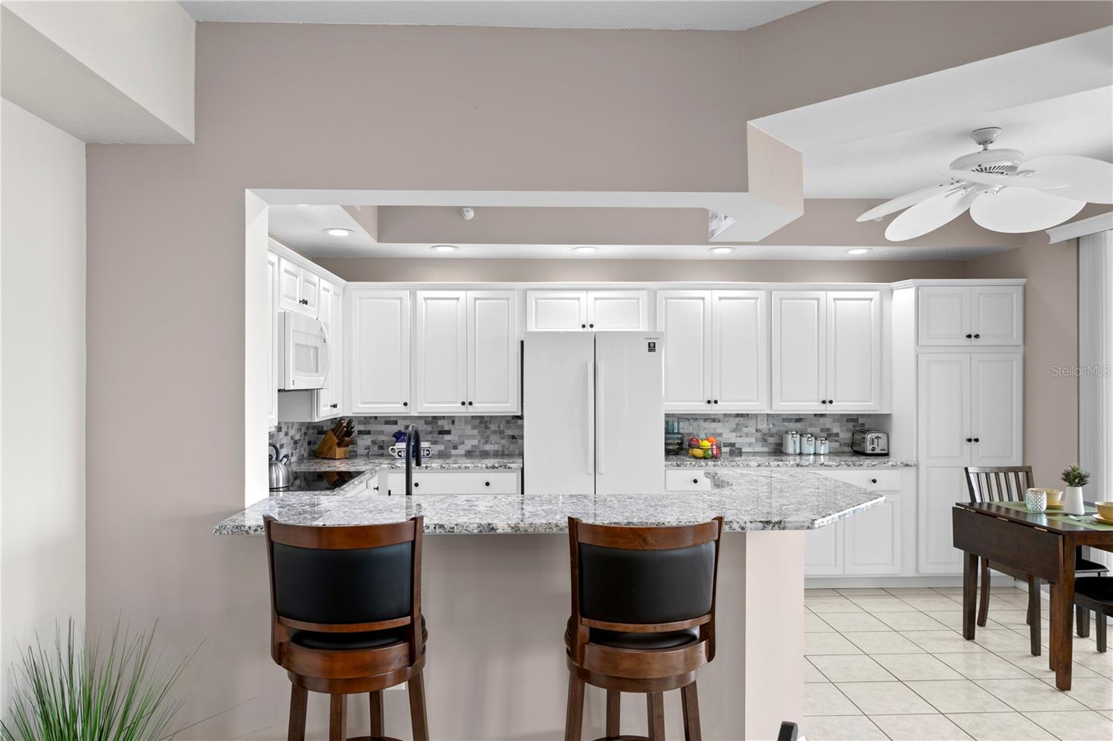4717 DOLPHIN CAY LN S #203, ST PETERSBURG, FL, 33711