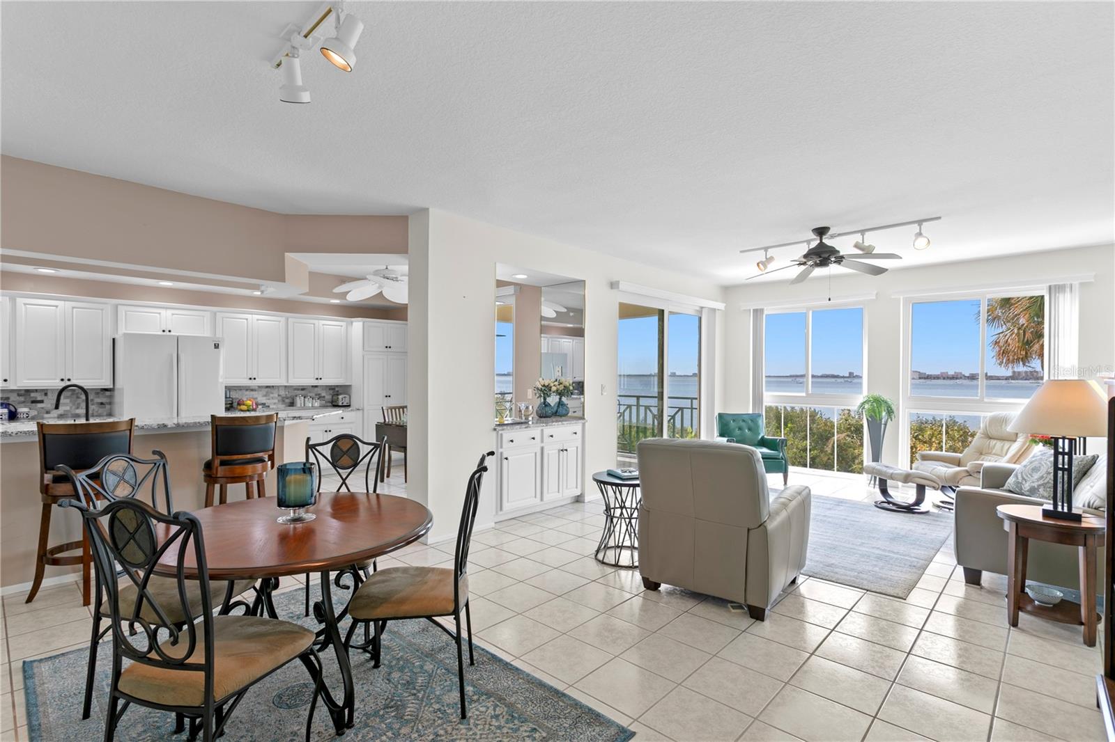 4717 DOLPHIN CAY LN S #203, ST PETERSBURG, FL, 33711