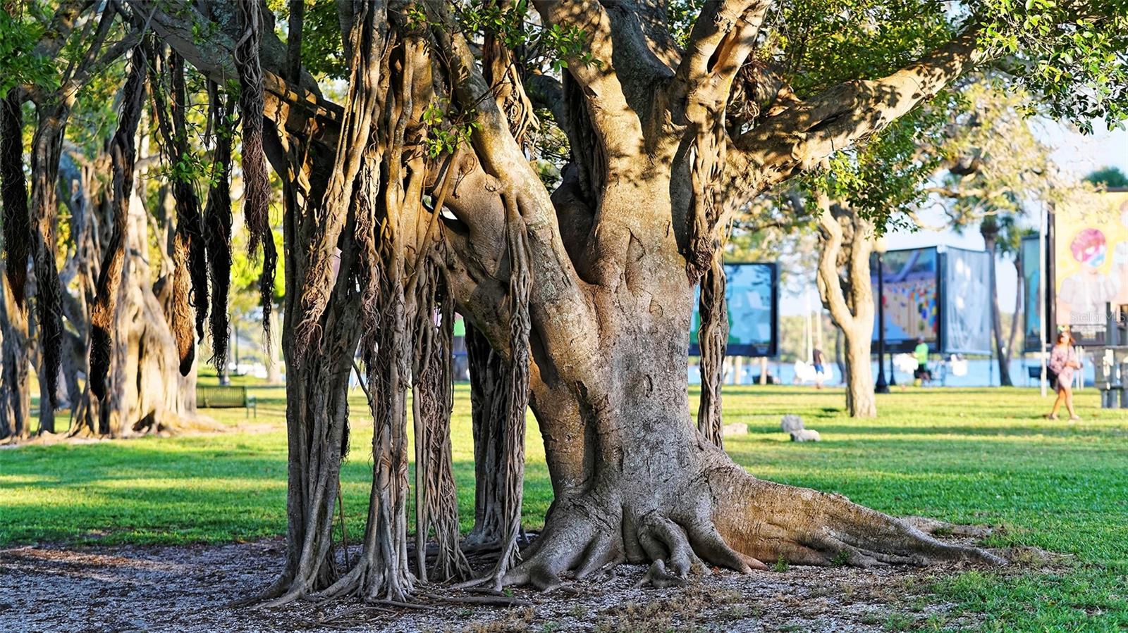 A4679211 Property Photo