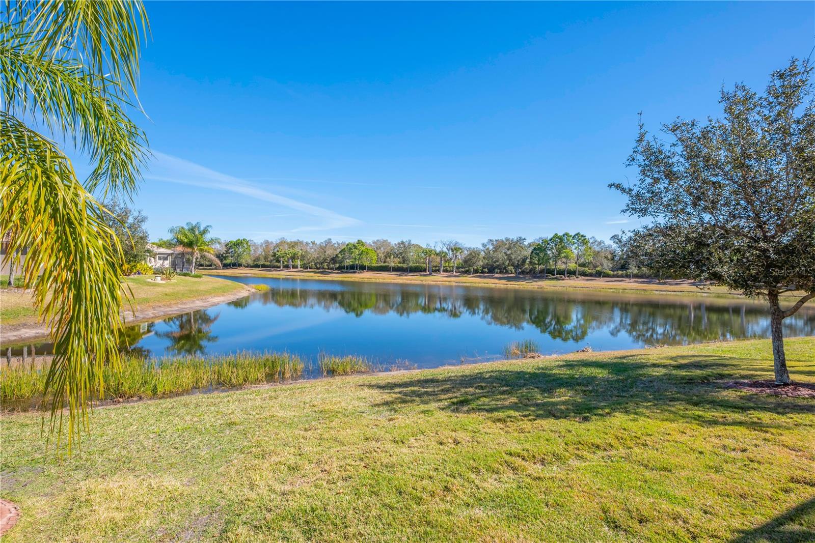 16108 CEDAR KEY DR, WIMAUMA, FL, 33598