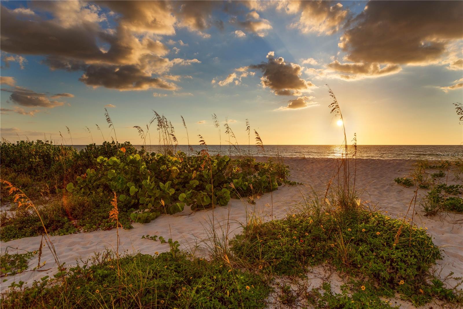 6701 BURLINGTON AVE N, ST PETERSBURG, FL, 33710