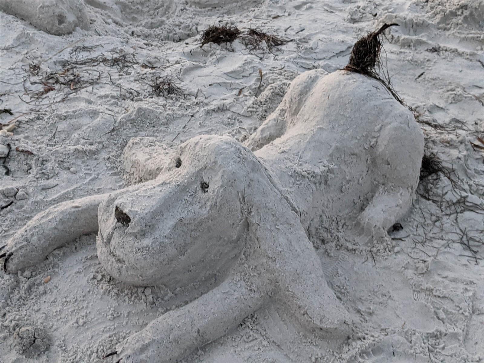 825 E GULF BLVD #110, INDIAN ROCKS BEACH, FL, 33785