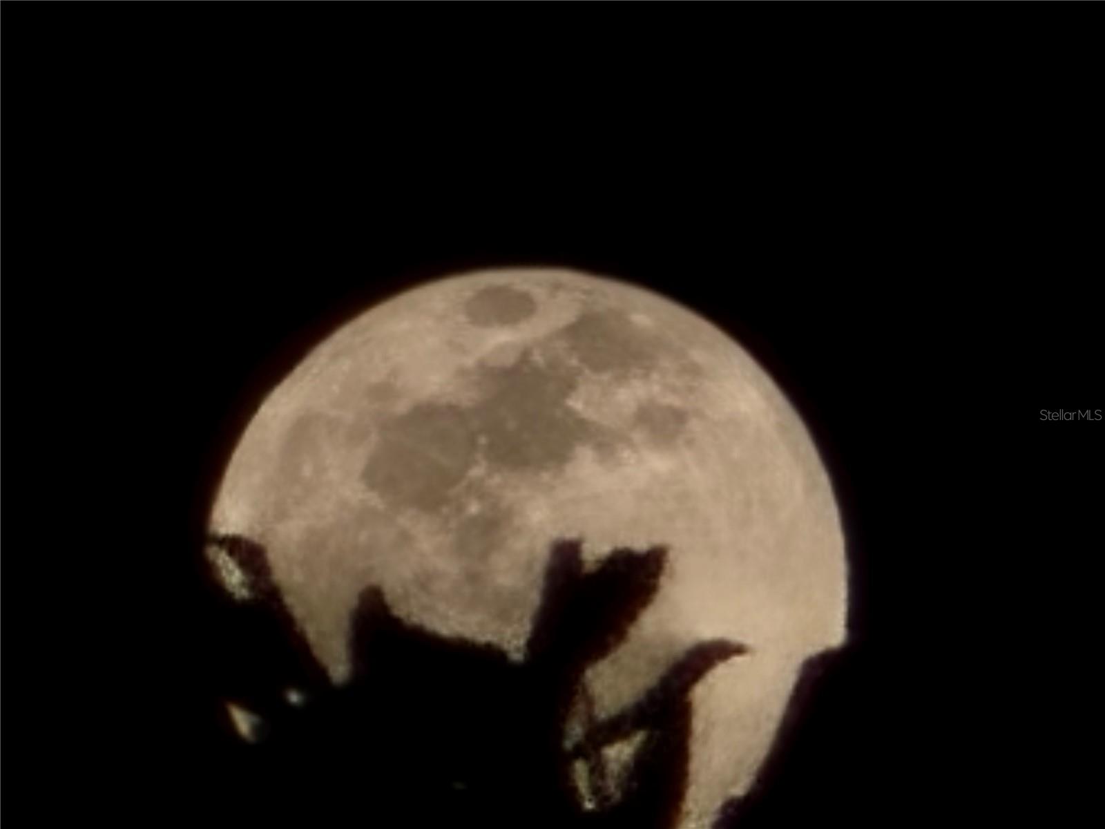 2498 RUSK CT, DELTONA, FL, 32738