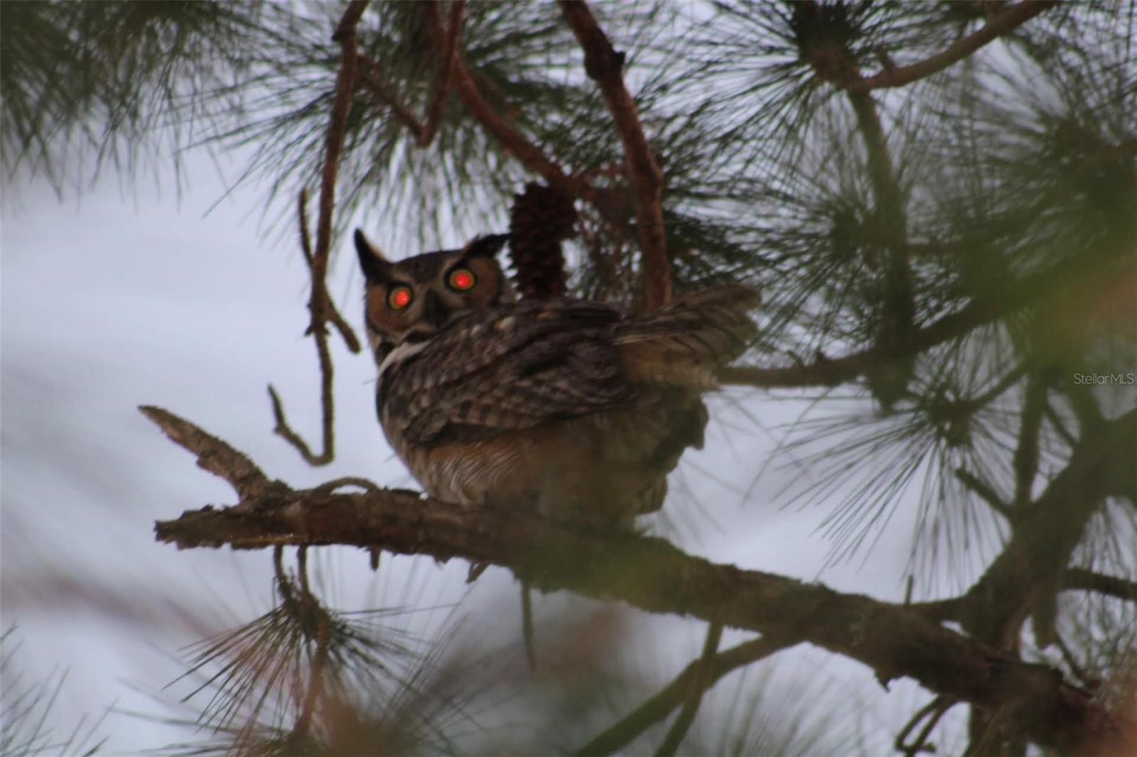 2498 RUSK CT, DELTONA, FL, 32738