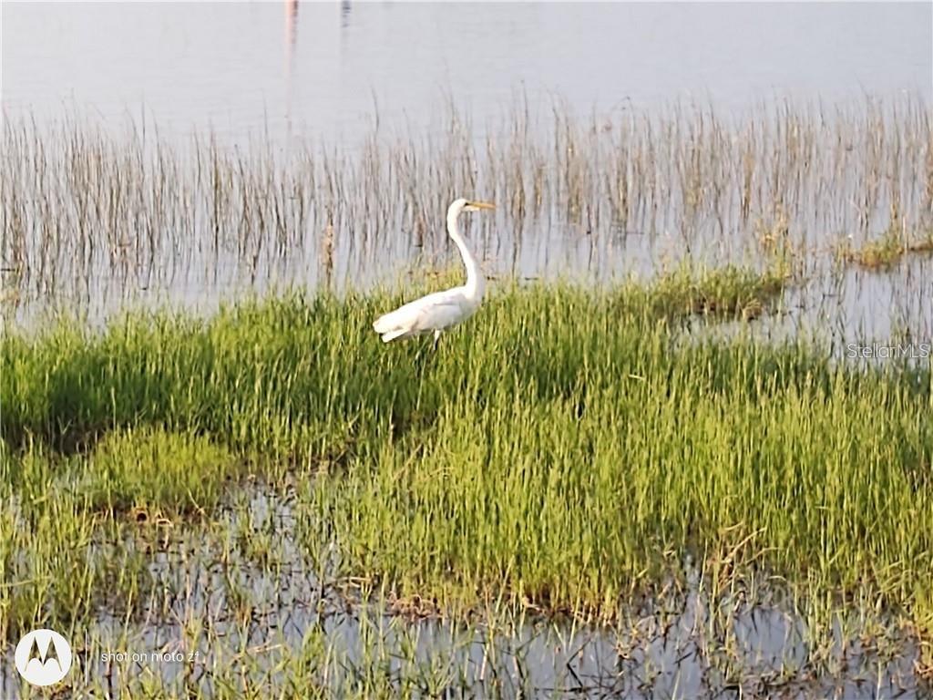 2498 RUSK CT, DELTONA, FL, 32738