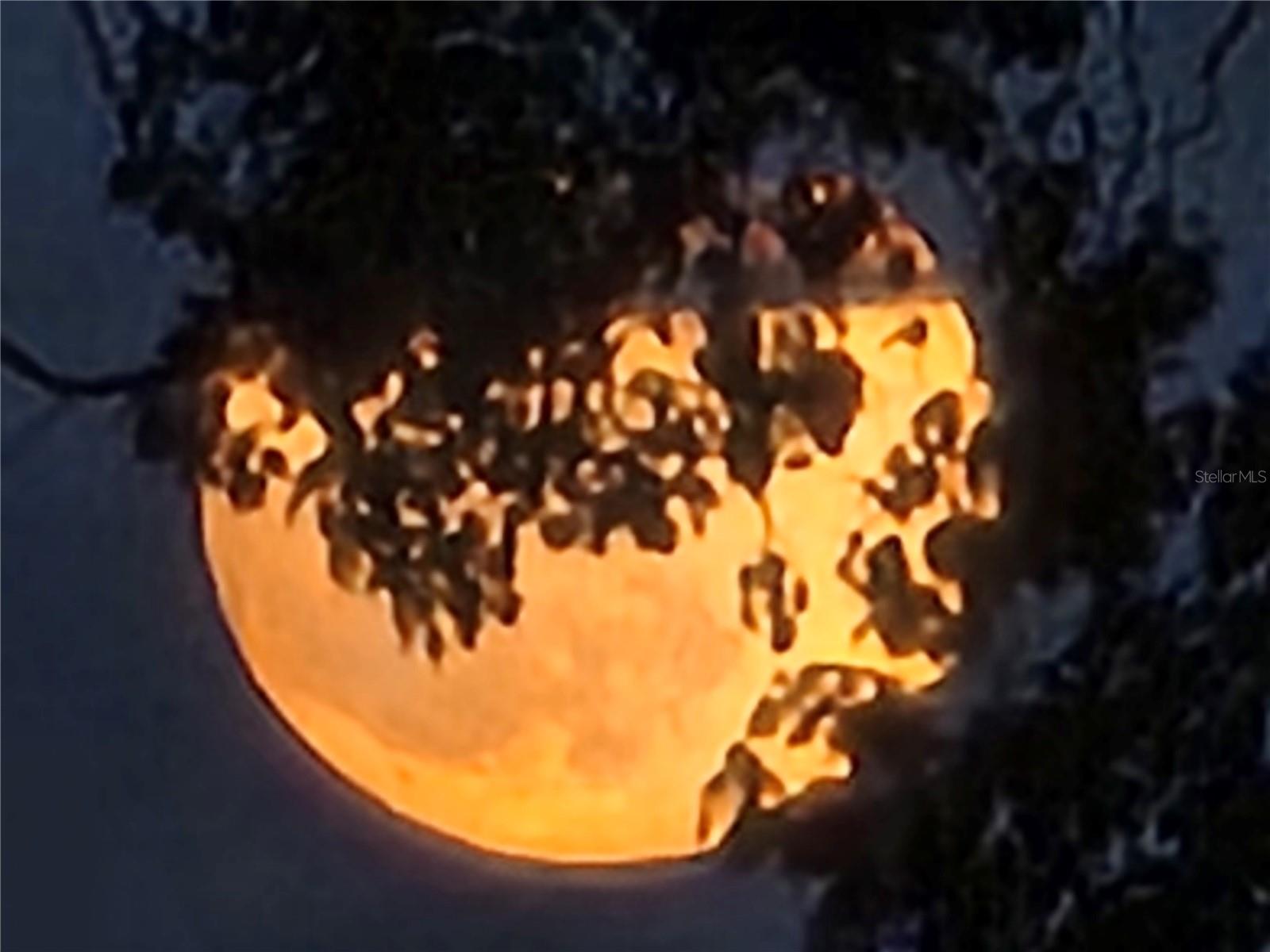 2498 RUSK CT, DELTONA, FL, 32738