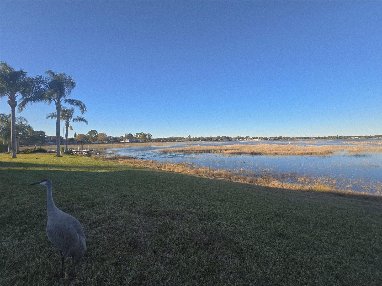 2498 RUSK CT, DELTONA, FL, 32738