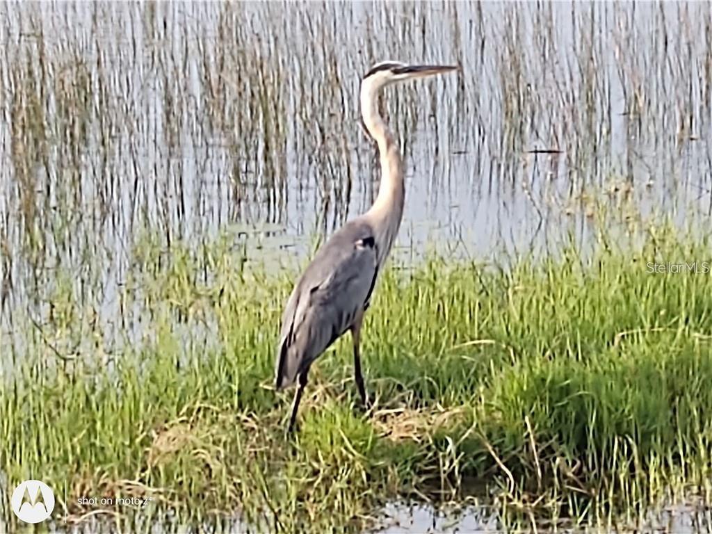 2498 RUSK CT, DELTONA, FL, 32738