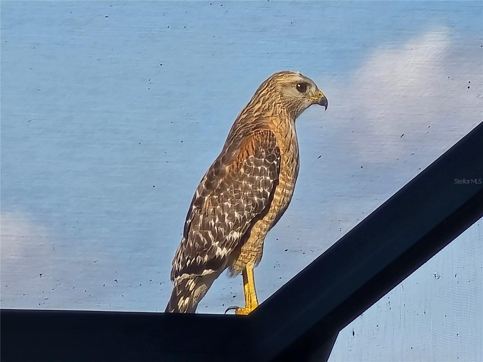 2498 RUSK CT, DELTONA, FL, 32738