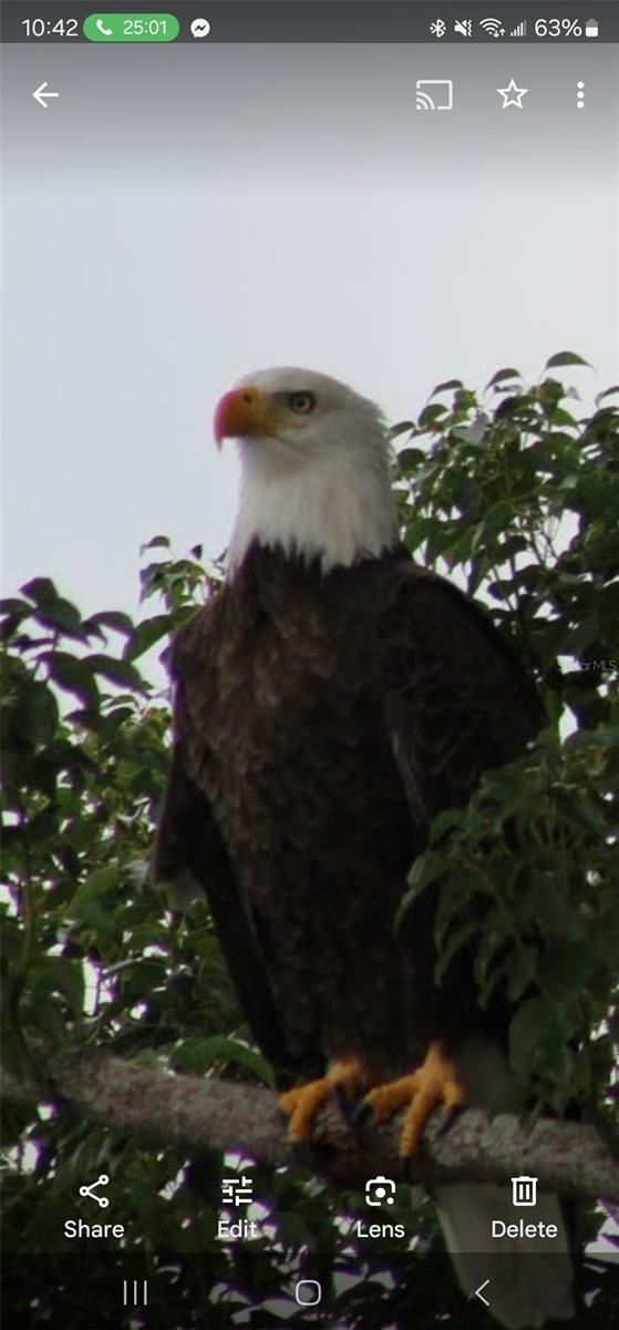 2498 RUSK CT, DELTONA, FL, 32738