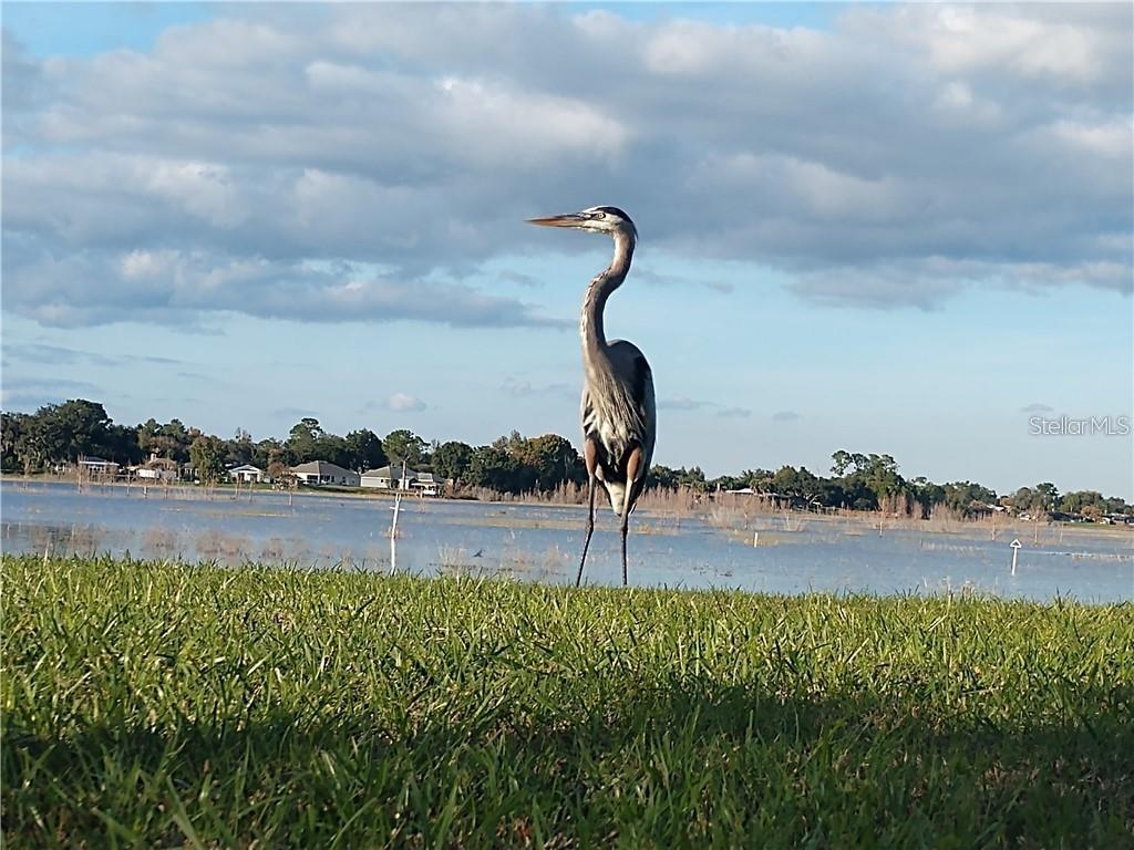 2498 RUSK CT, DELTONA, FL, 32738